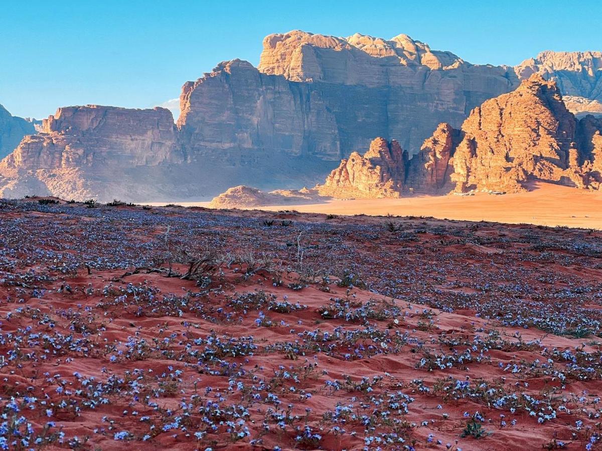 Wadi Rum Camp Exterior foto