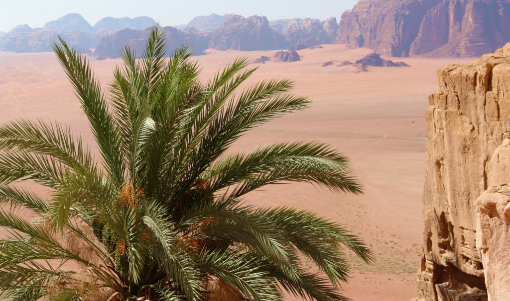 Wadi Rum Camp Exterior foto